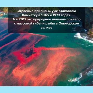 Прилив камчатка