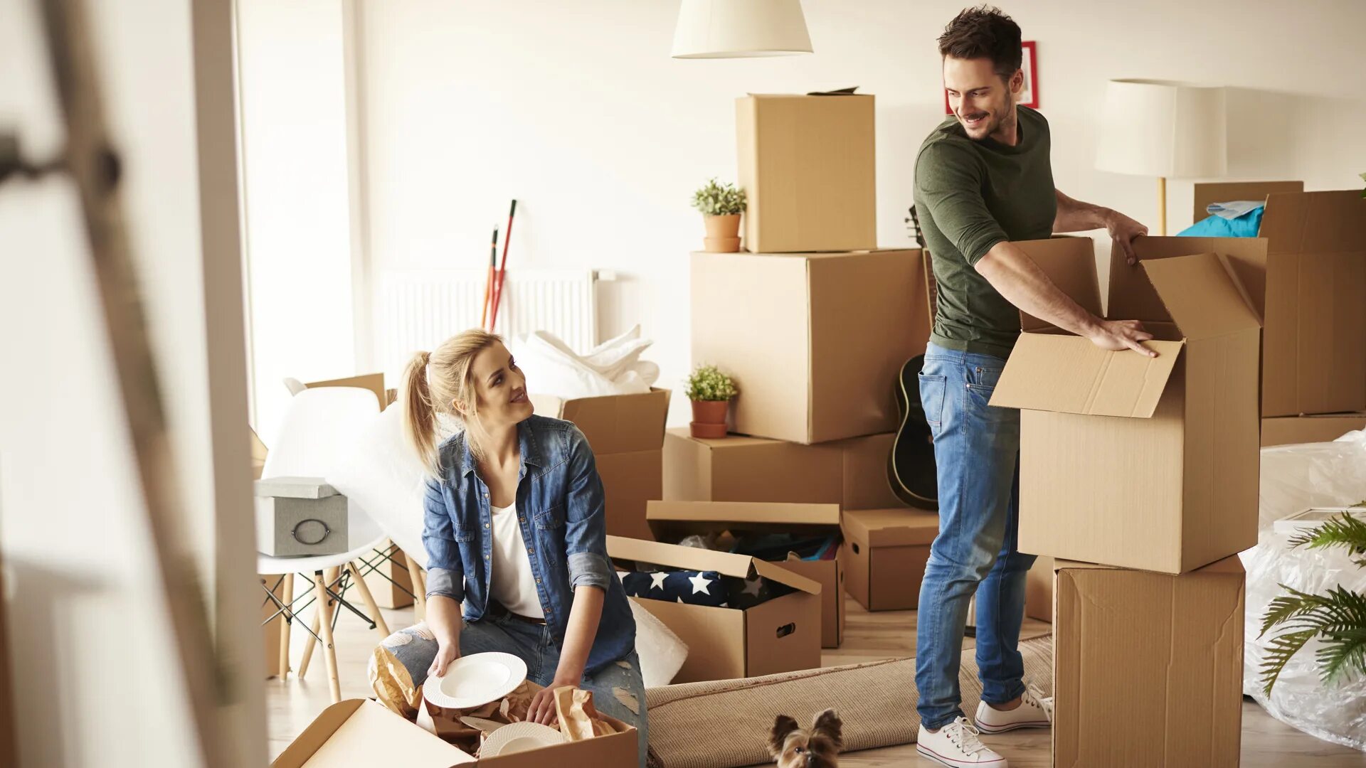 Профессиональные грузчики. Квартирный переезд. Переезд. Девушка переезд. Переезд картинки.