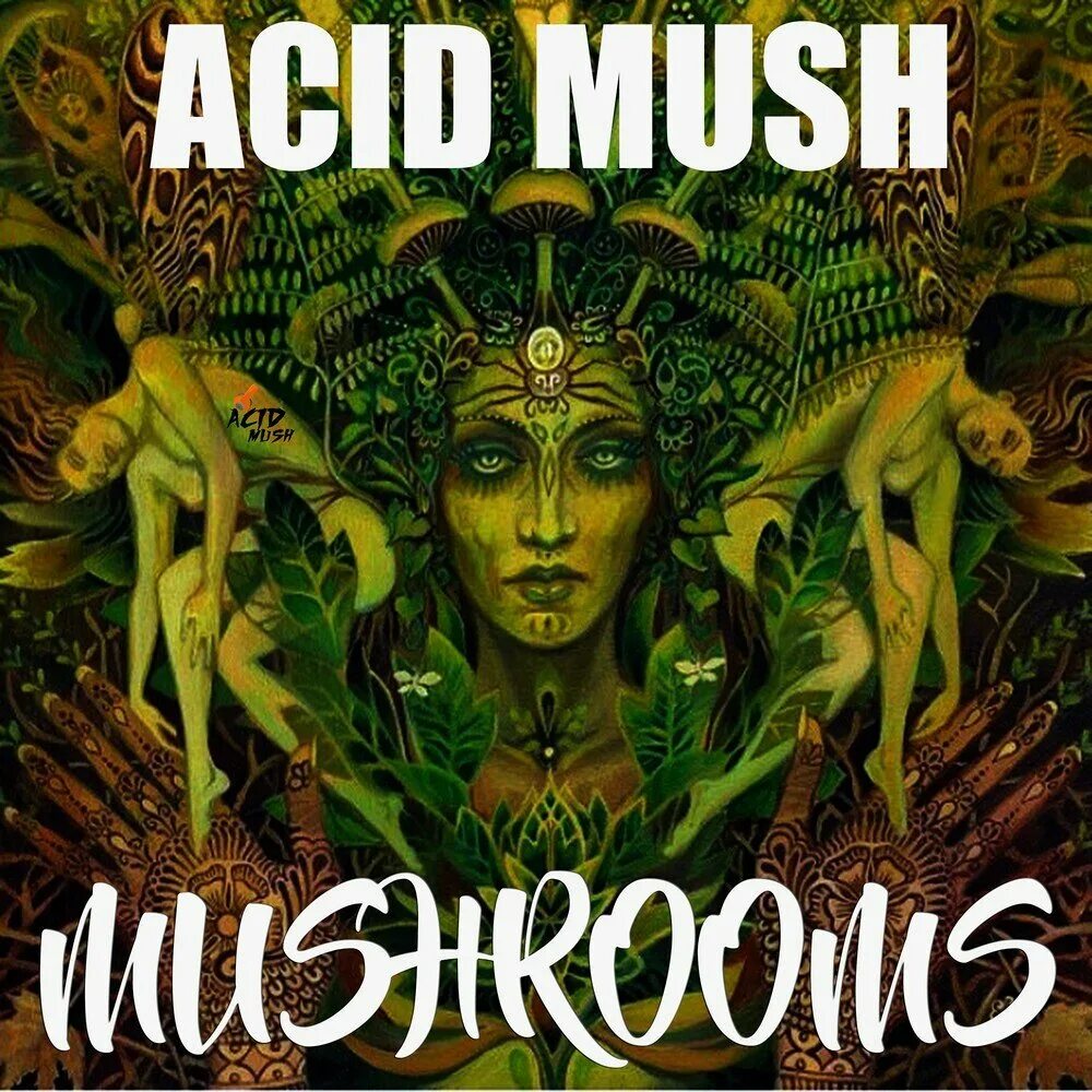 Acid Mushrooms. Acid Mushrooms Art. Mushroom Music. Mushroom слушать