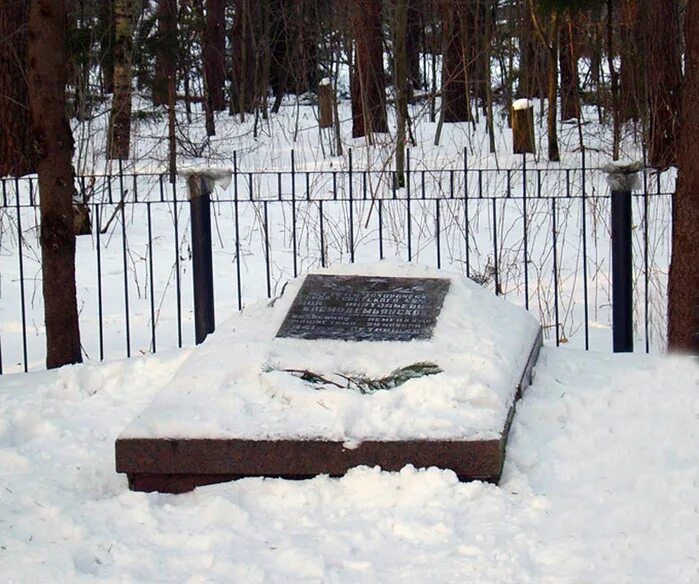 Погода космодемьянский рузский. Петрищево (рузский городской округ). Космодемьянский поселок московская область. Могила зои космодемьянской в петрищево. Погода космодемьянский рузский.