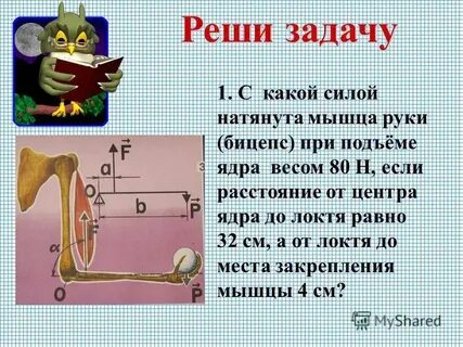 Задачи на подъемную силу 7 класс