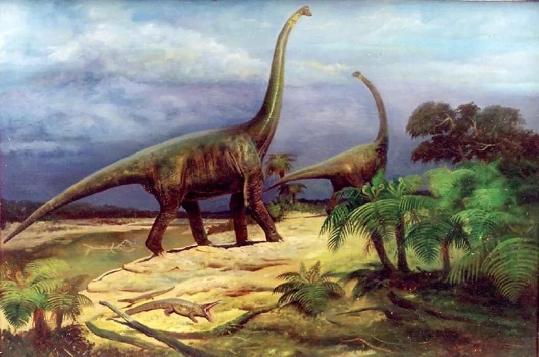 Мезозойская Эра Брахиозавры. Диплодок Брахиозавр Спинозавр. Травоядные динозавры Брахиозавр. Брахиозавр вымирание. Урок мир динозавров
