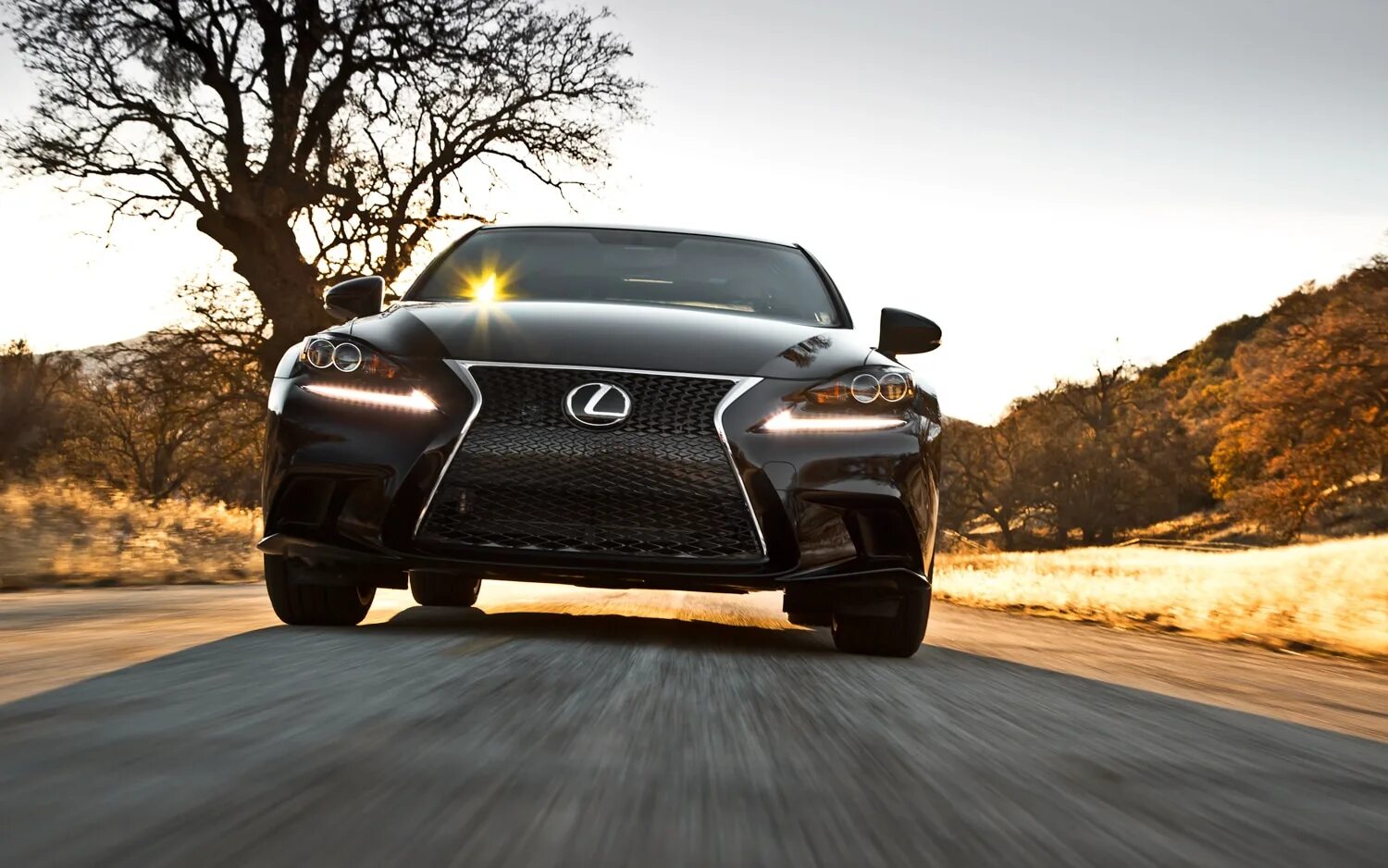 Гурам лексус. Лексус 2014. lexus is 350 2025. лексус 690. лексус 425.
