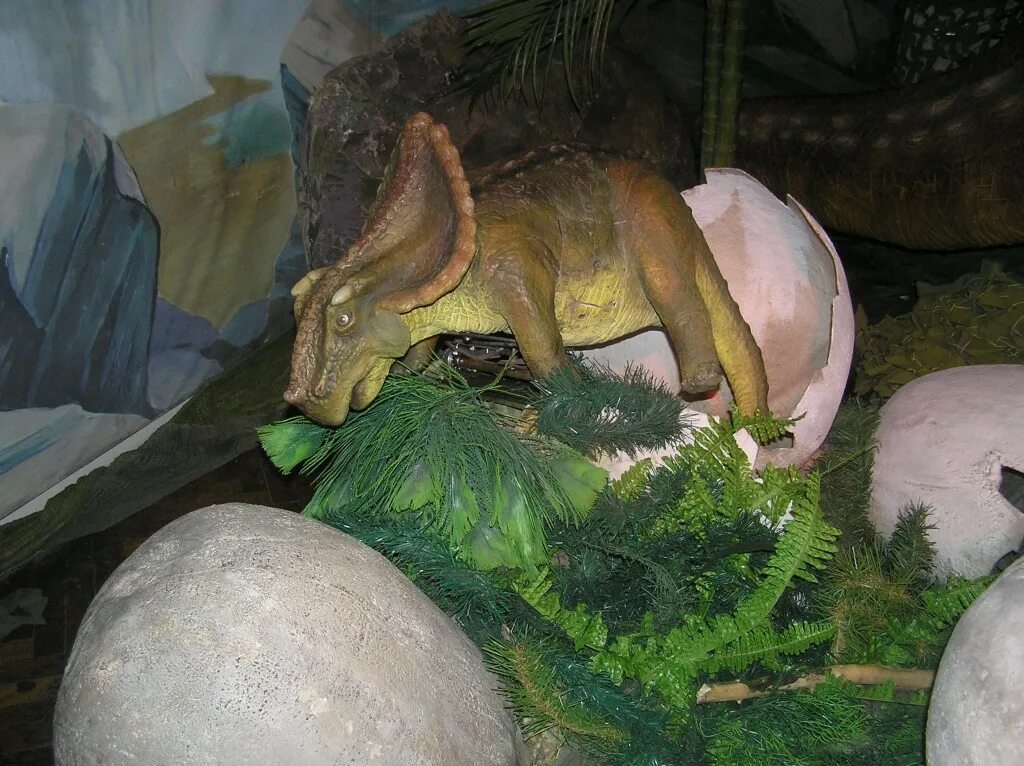 планета динозавров спб горьковская. выставка планета динозавров питерский планетарий. музей движущихся динозавров. музей планета динозавров в санкт-петербурге. выставка планета динозавров питерский планетарий.