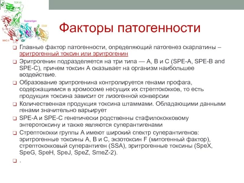 Возбудитель скарлатины является. Факторы патогенности скарлатины. Возбудитель скарлатины факторы патогенности. Токсин возбудителя скарлатины. Streptococcus pyogenes факторы патогенности.