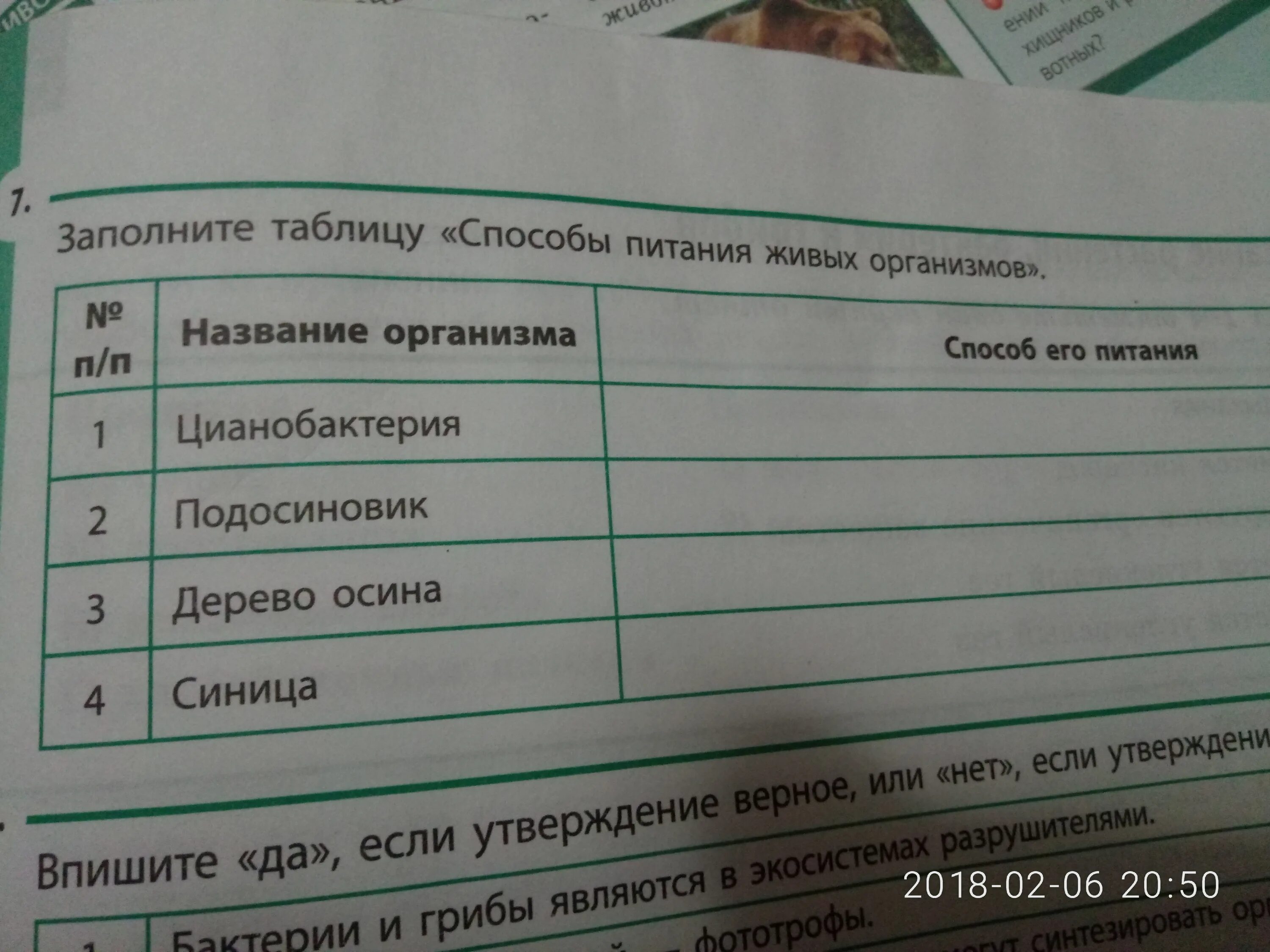 Процессы питания живых организмов. Заполните таблицу способы питания живых организмов. Способы питания живых организмов таблица. Заполните таблицу способы питания животных организмов. Таблица способы питания живых организмов 6 класс.