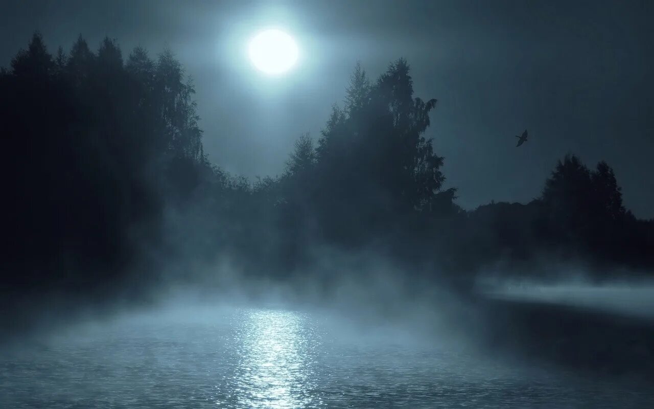 Таинственный свет луны. Озеро в тумане ночью. Мистическое озеро. Туман ночью. Мистические пейзажи.