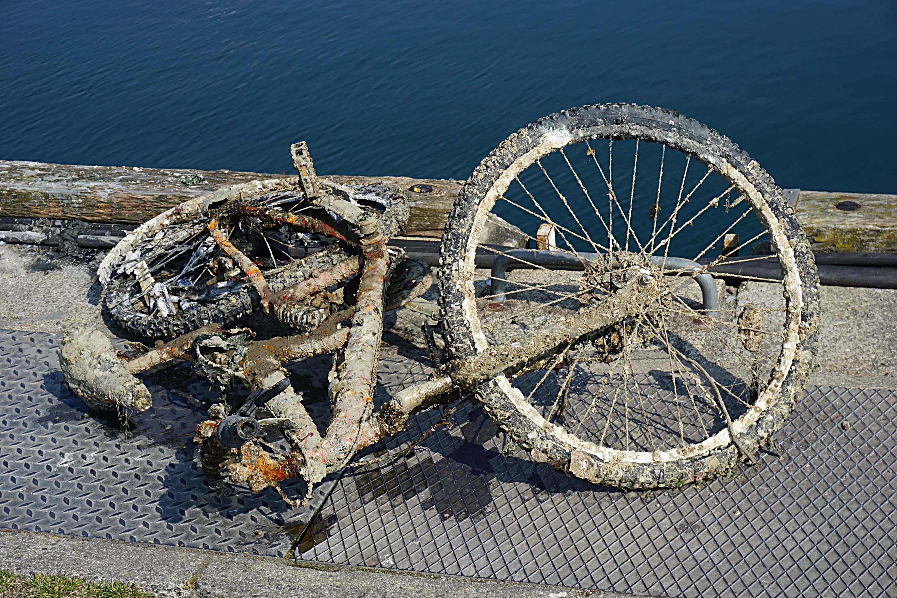Великий разбить. Ржавый велосипед. Старый Ржавый велосипед. Заржавеет велосипед. Заброшенный велосипед.