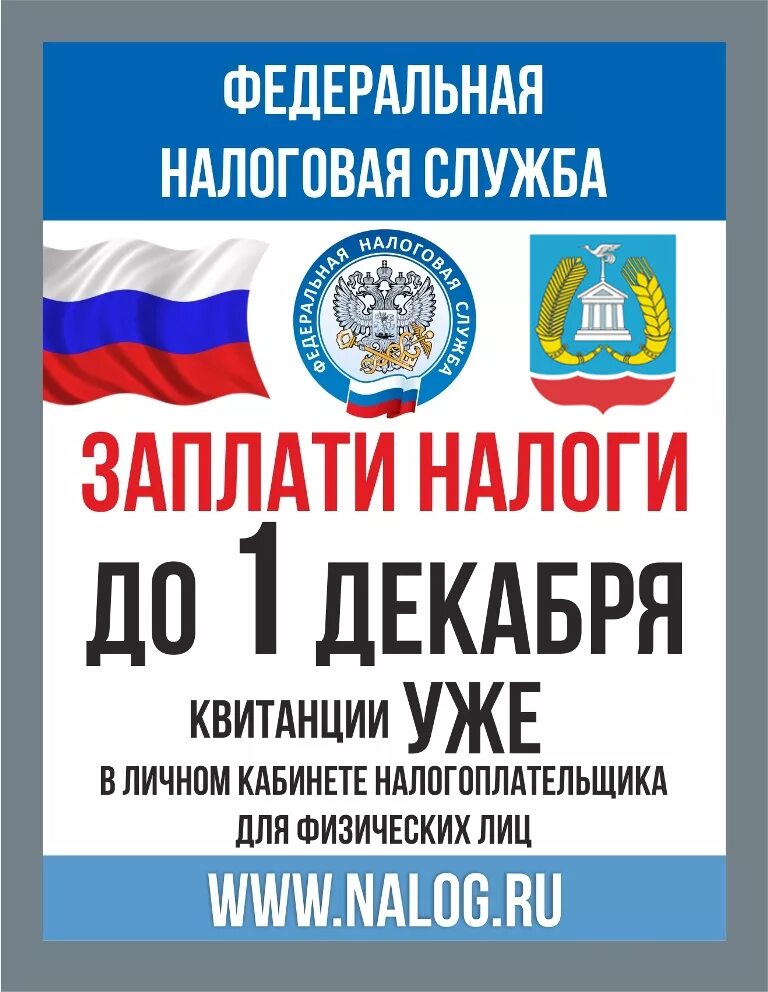 заплатил налоги спи спокойно. как не платить налоги. как не платить налоги. памятка заплати налоги. как не платить налоги.