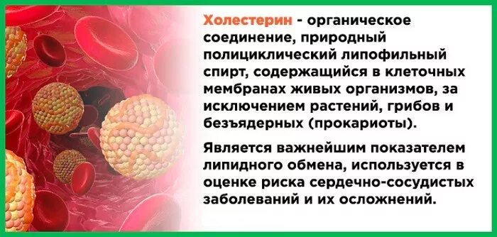 Что такое холестерин низкой плотности. Холестерин. холестерин в мембране клетки функции. холестерин в клеточной мембране.