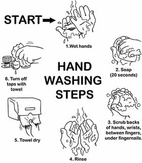 Did you wash your hands
