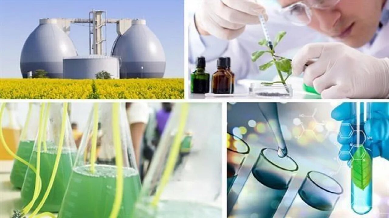 Создание биотехнологий. Биотехнология. Современные биотехнологии. Биотехнология растений. Биотехнологии в промышленности.