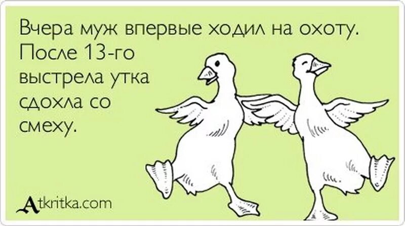 Не догнал юг. Приколы про утку. Анекдот про гуся. Шутки про гусей. Гусь прикол.