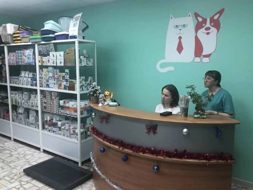 Томск ветклиника телефон. Ветклиника розы люксембург томск. Велес томск. Розы люксембург 29 томск. Круглосуточная ветклиника томск.