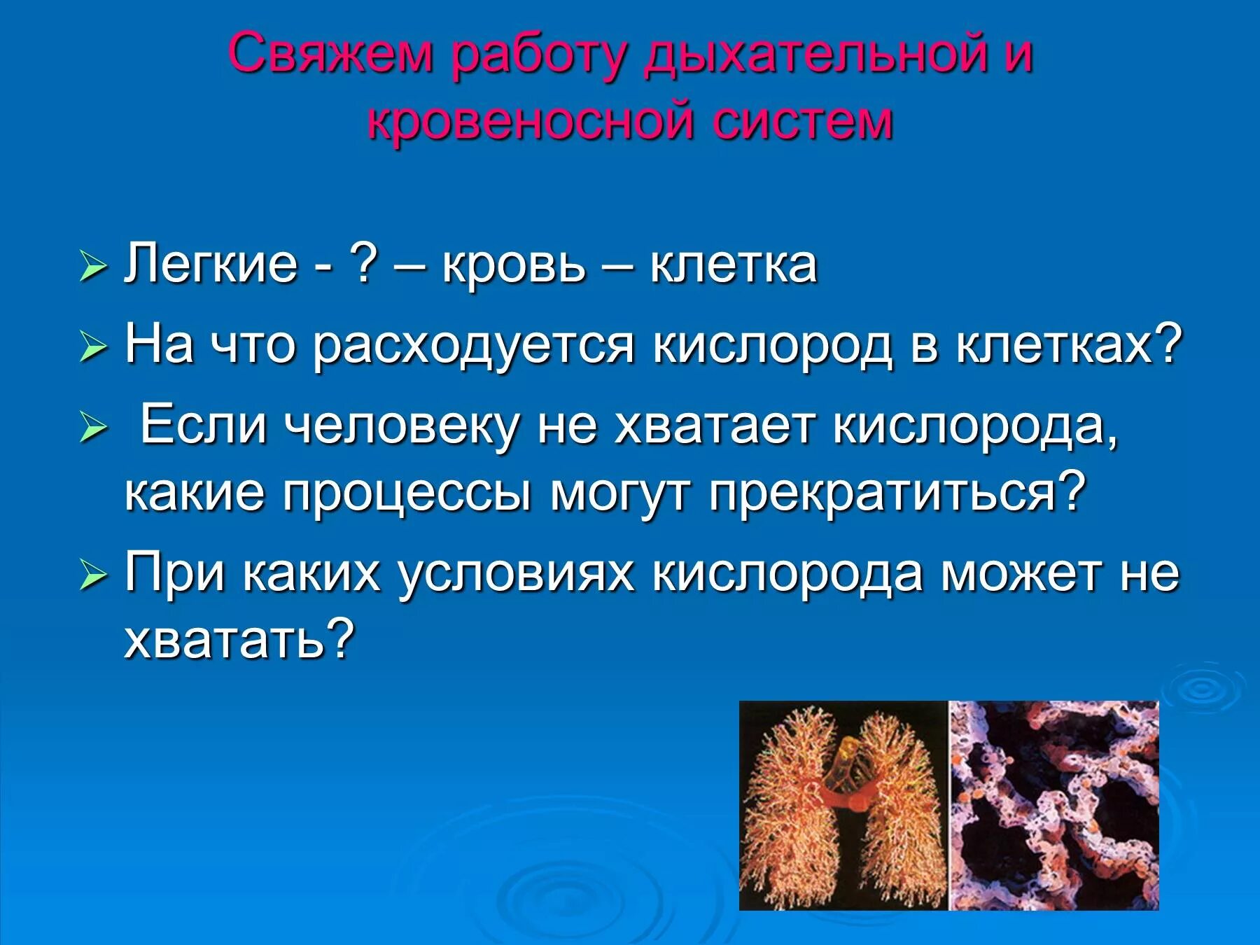 Не хватает кислорода. Если не хватает кислорода в организме. Если в крови не хватает кислорода. Кислород в организме человека расходуется на процесс.