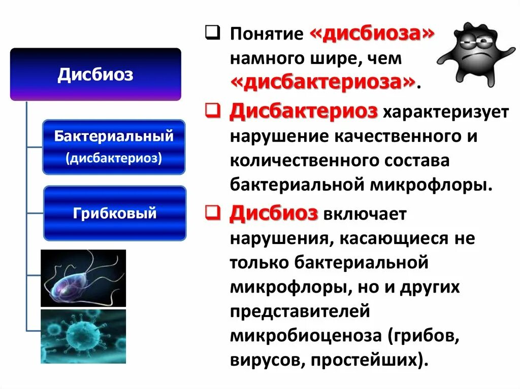 Что значит выраженный дисбиоз у женщин. Понятие дисбиоза. понятие о дисбактериозе. бактериальный дисбактериоз.