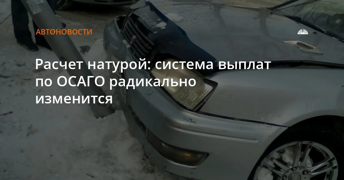 Расчиталась натурой. Рассчиталась натурой. расчет натурой. расчет натурой за поездку.