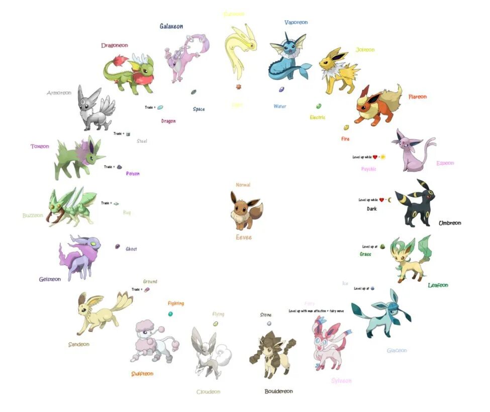 Имя иви. Pokemon Eevee Evolution. Покемон Eevee Эволюция имена. Иви эволюции и их названия. Покемон иви эволюции.