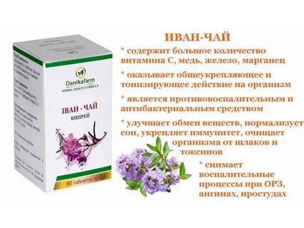 Какие травы поднимают иммунитет