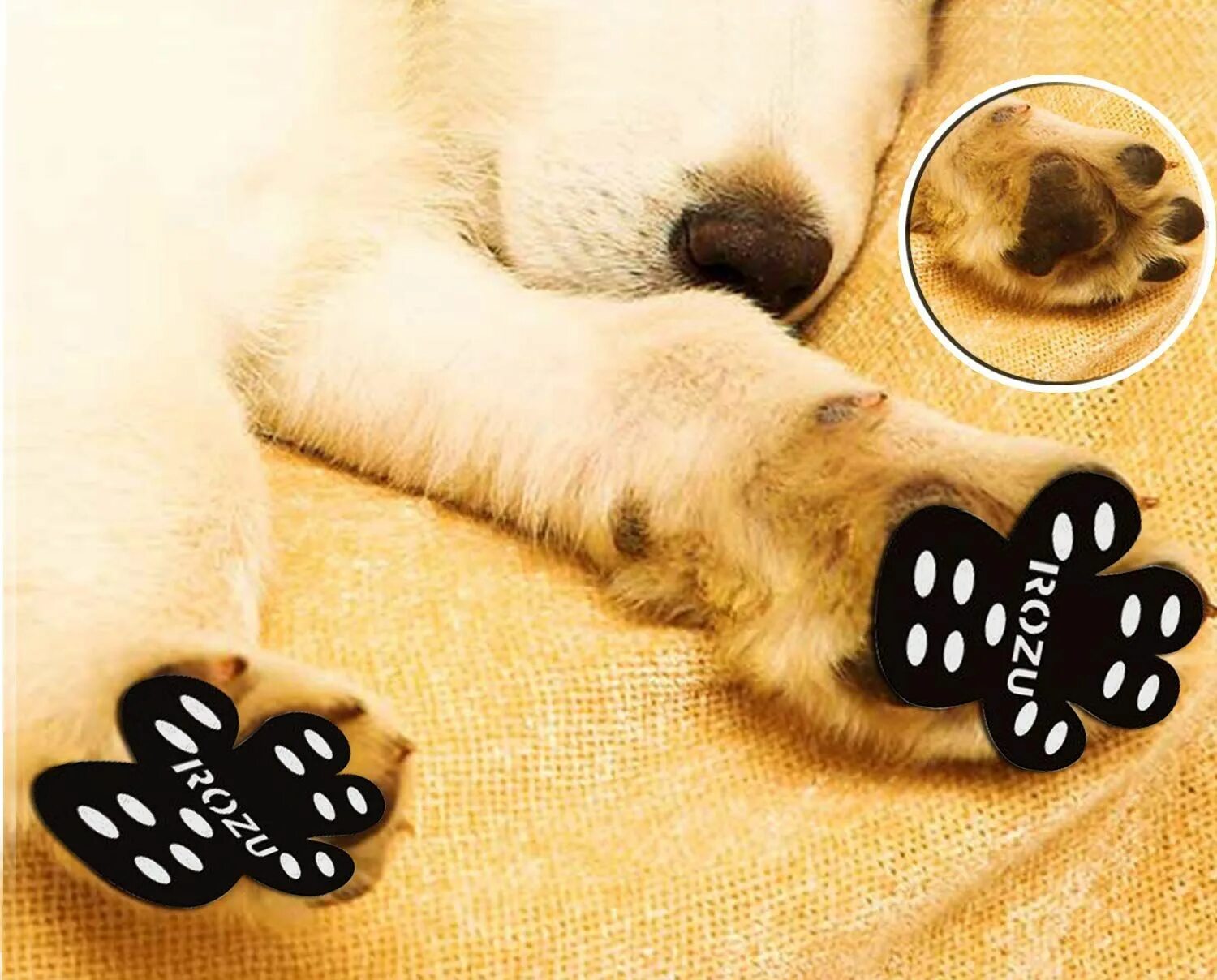 Pet paw. Противоскользящие накладки для собак на лапы. Лапа собаки. Собачьи лапки подушечки.
