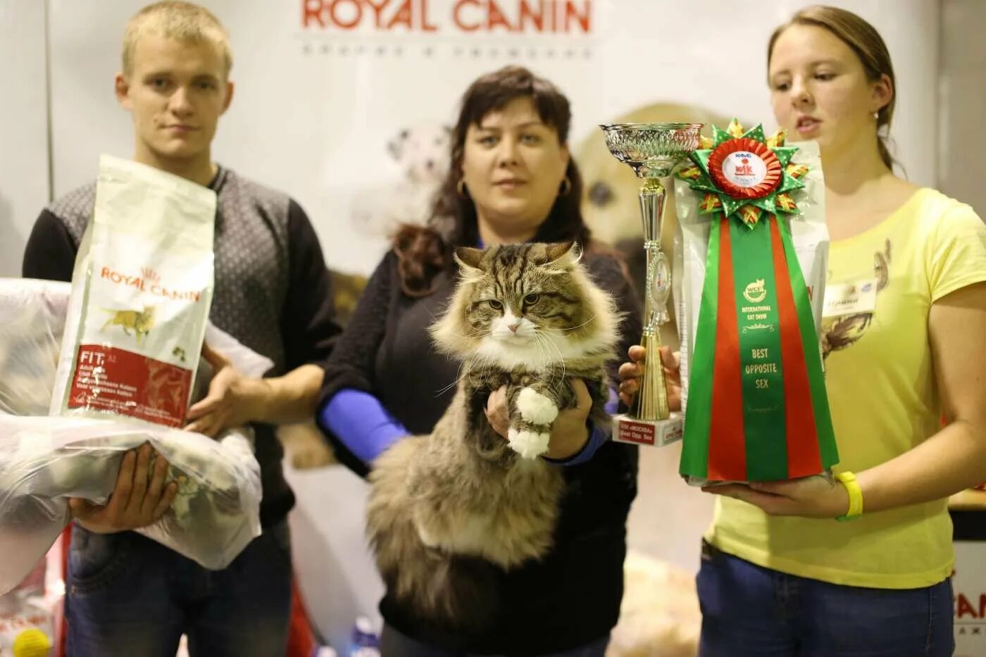 Первая выставка кошек в Москве. Выставка кошек в Туле 2023.