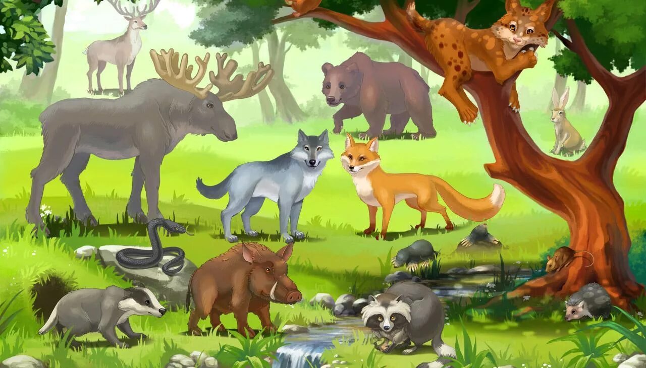 Было 10 зверей. Звери в лесу. Лесные звери. Жители леса. Животные леса для детей.