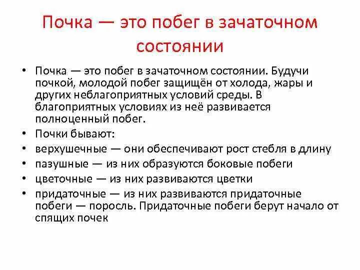 Зачаточное состояние. От неблагоприятных условий почку защищают в биологии. 2. От неблагоприятных условий почку защищают … … .. Чем защищены почки от внешних неблагоприятных условий. Почку называют зачаточным побегом потому что.