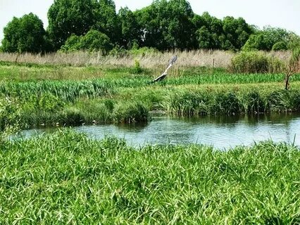Курская область участки