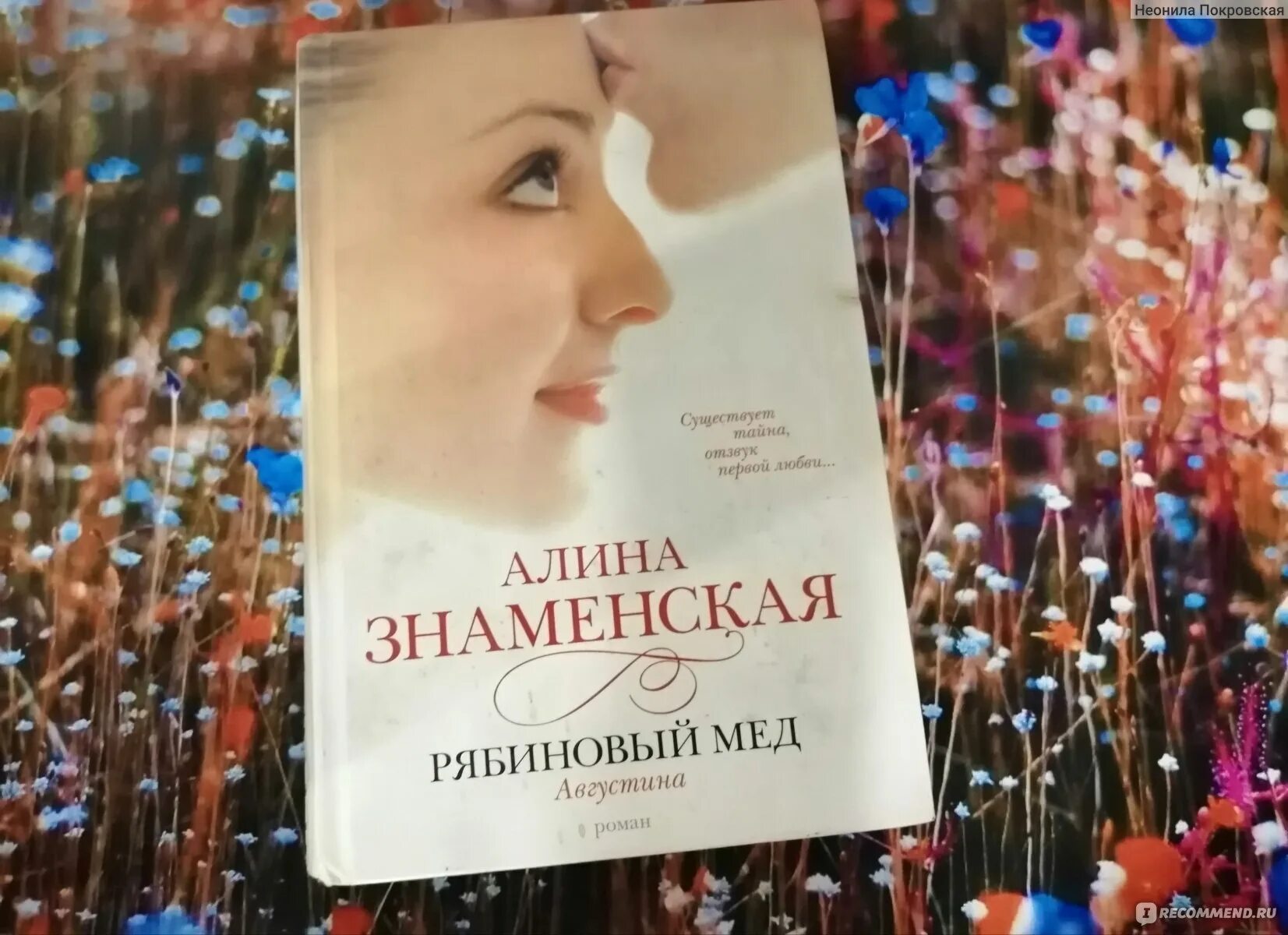Знаменская рябиновый. Знаменская рябиновый. Знаменская рябиновый. Замок из песка книга. Знаменская рябиновый.
