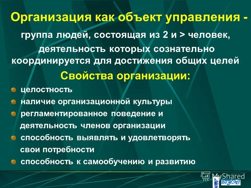 Презентация организация менеджмента