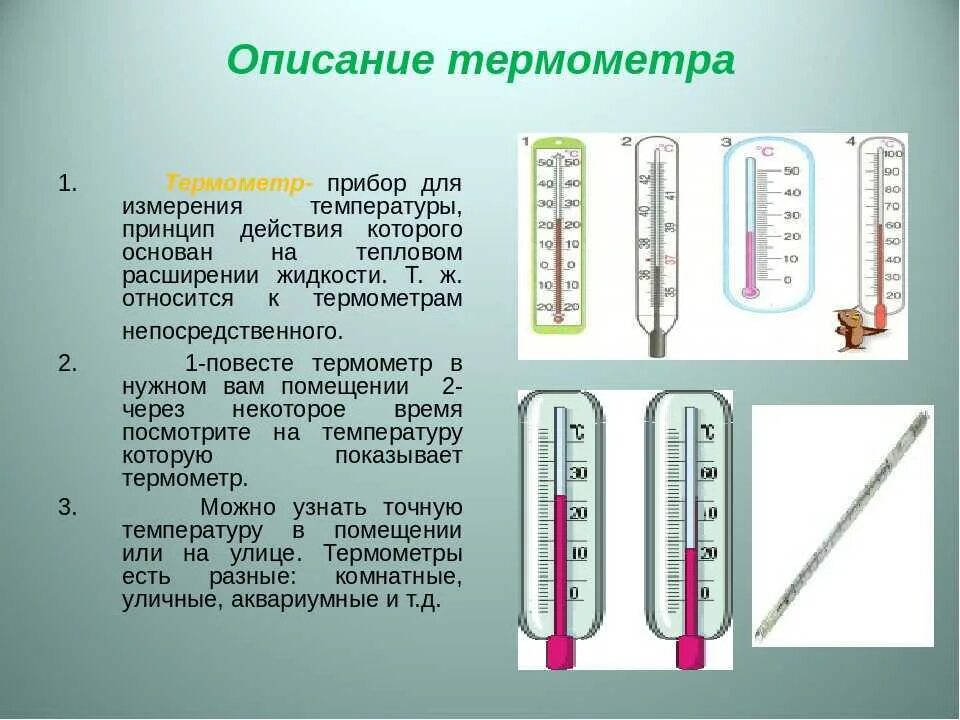 Правила работы с термометром. Термометр ТБ-1рс. Измерение температуры термометром вид измерения. Описание термометра. Термометр прибор для измерения температуры
