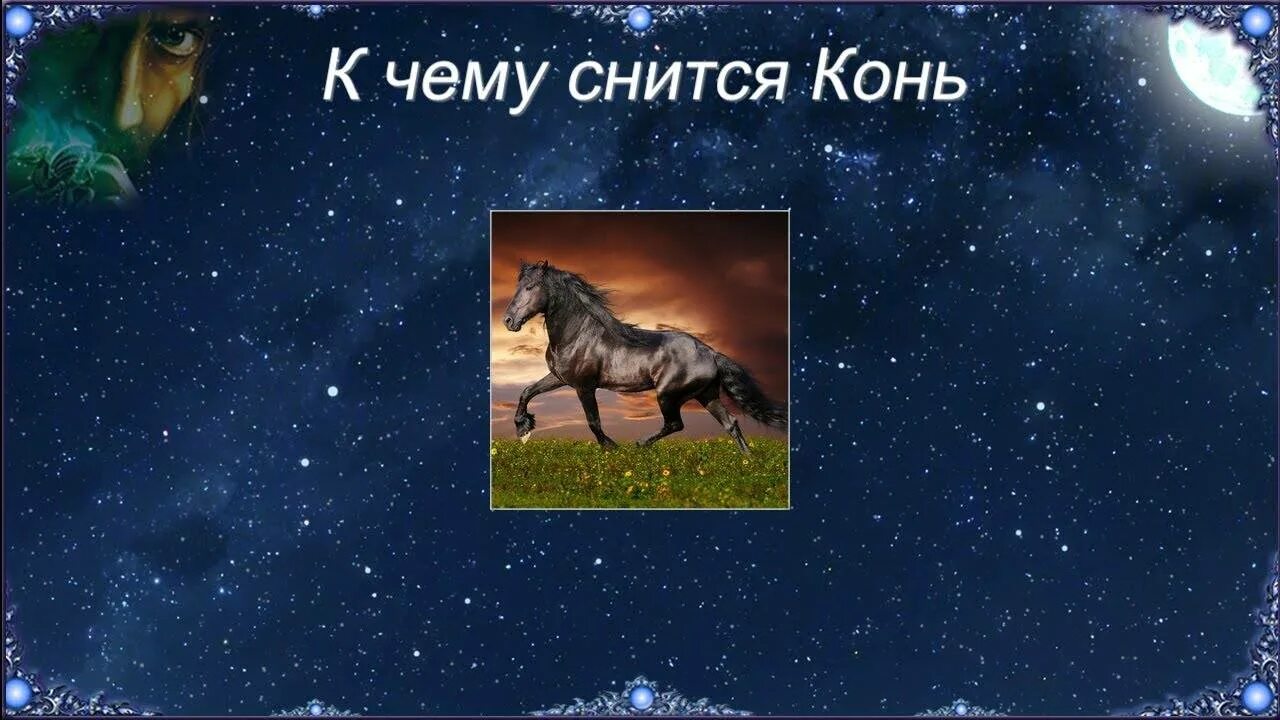 К чему снится человек на лошади. Приснился конь. что снится лошадям. лошадь во сне. видеть во сне лошадь.