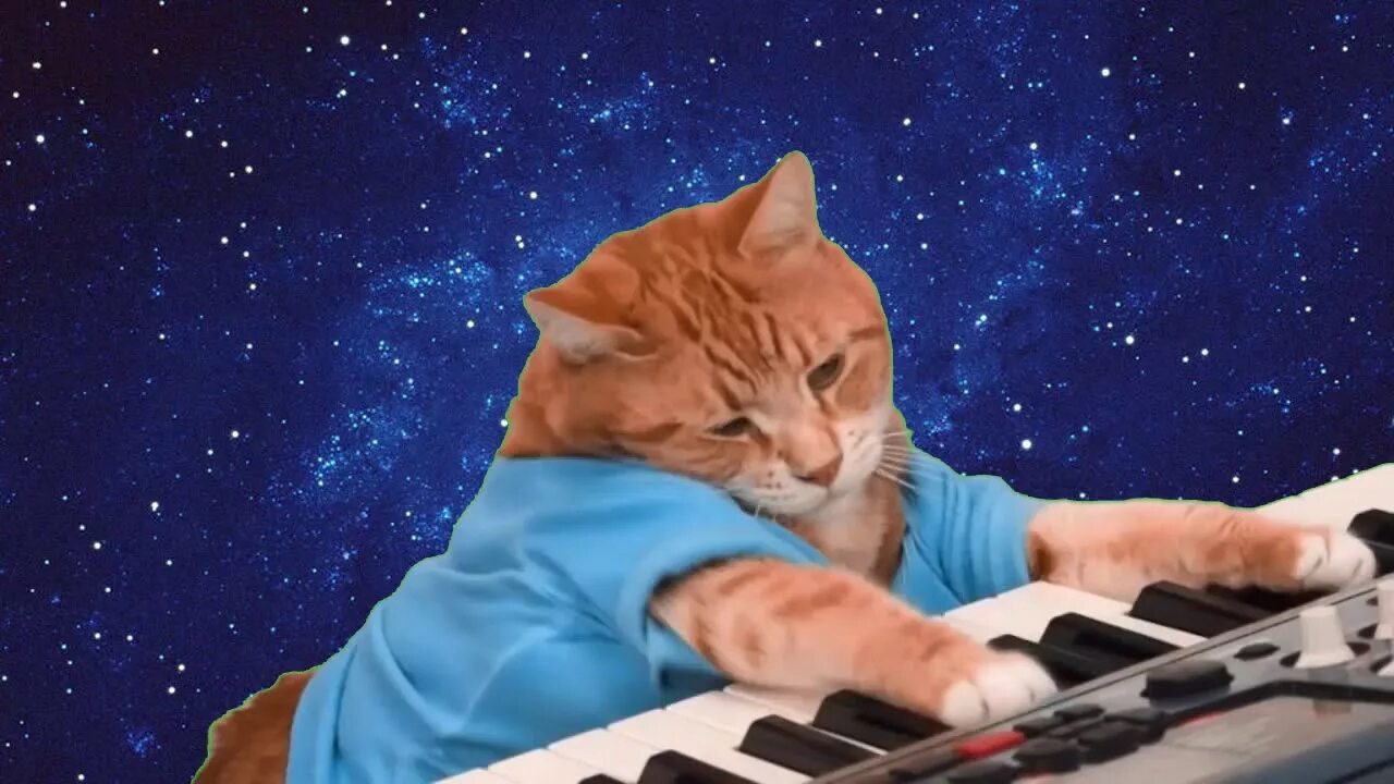 Котик играющий на пианино. Кот на синтезаторе. Кот играет на синтезаторе. Коттиграет на синтезаторе. Мем играет на пианино