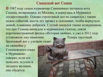 История кота семена