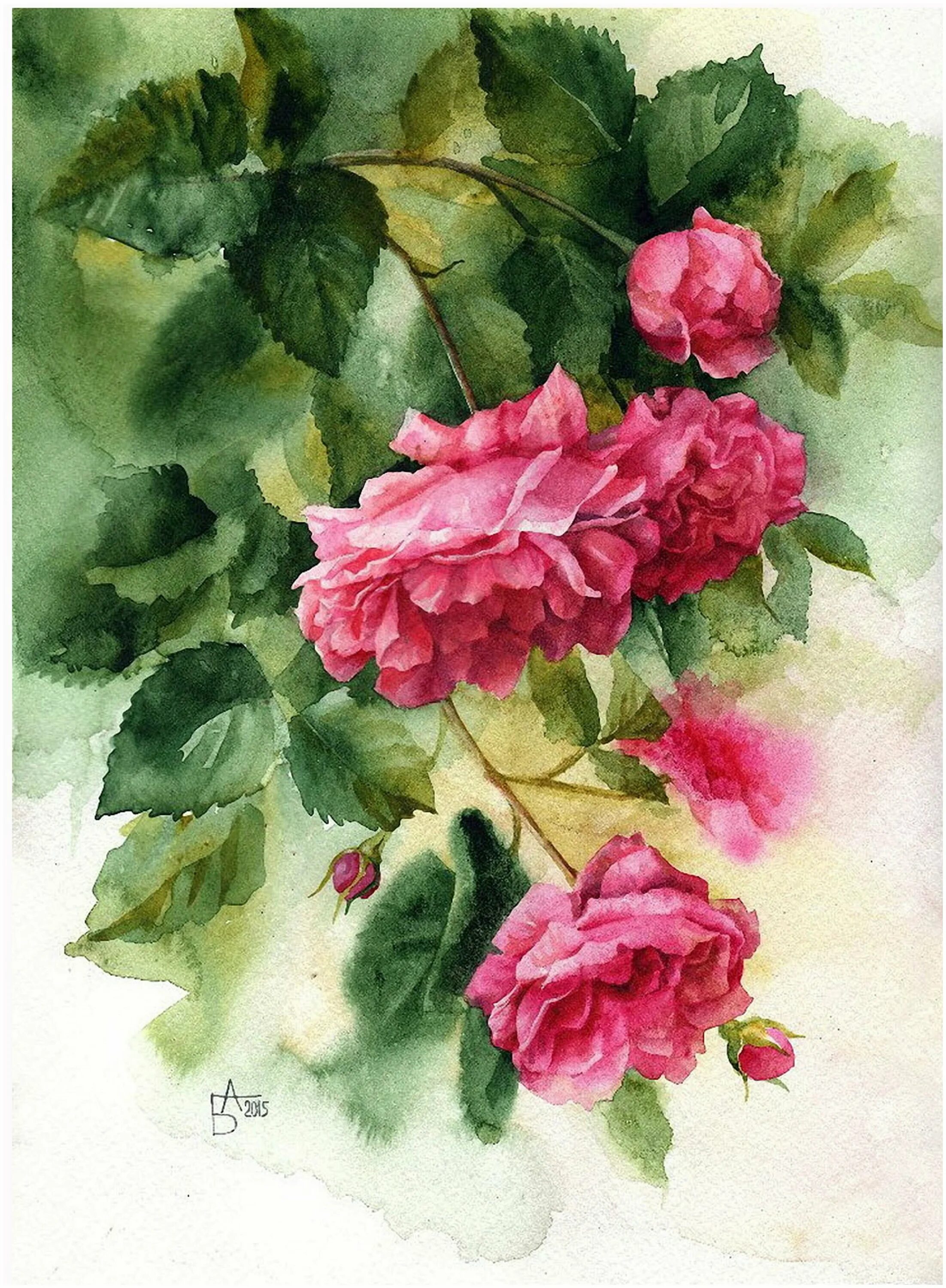 художник ilona tigges. хайнц шольнхаммер летний букет. художник дэррил тротт цветы. дэрил тротт. акварель розы анастасия беседина.