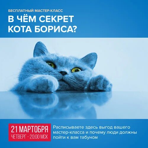 В чем секрет кота бориса. В чем секрет кота бориса. Настоящий секрет кота бориса. Секрет энергии кота бориса. В чем серкет кота бориса.