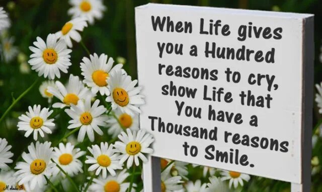Life life give me my money. A hundred and one reasons. A hundred and one reasons идиома. When Life gives you a hundred reasons to Cry, show Life that you have a Thousand reasons to smile. Life is short quotes.