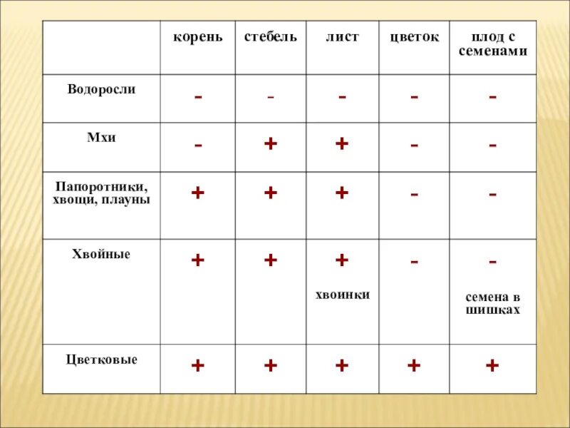 Корень стебель лист цветок плод семя это. У водорослей есть стебли листья цветы корни плоды и семена. Группа растений таблица водоросли мхи папоротники. Есть у водорослей корень стебель листья.