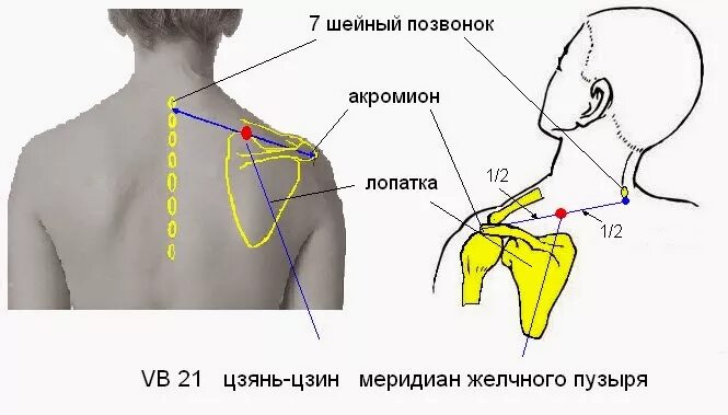 Где находится вб. Точка vb21 цзянь-цзин. 7 позвонок шейного отдела. где находится 7 шейный позвонок. выступающий шейный позвонок.