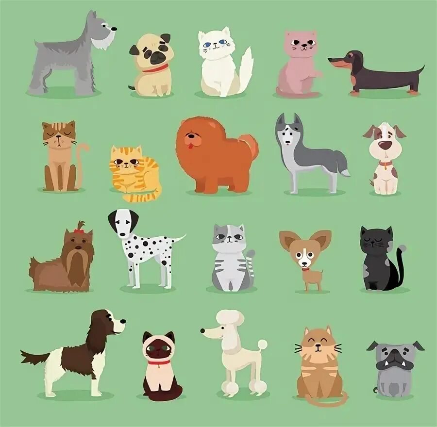 Pet characters. Pet faces cartoon.