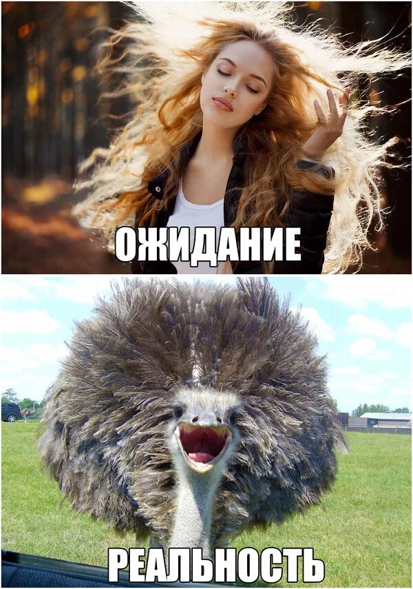 Когда он не выходит из головы