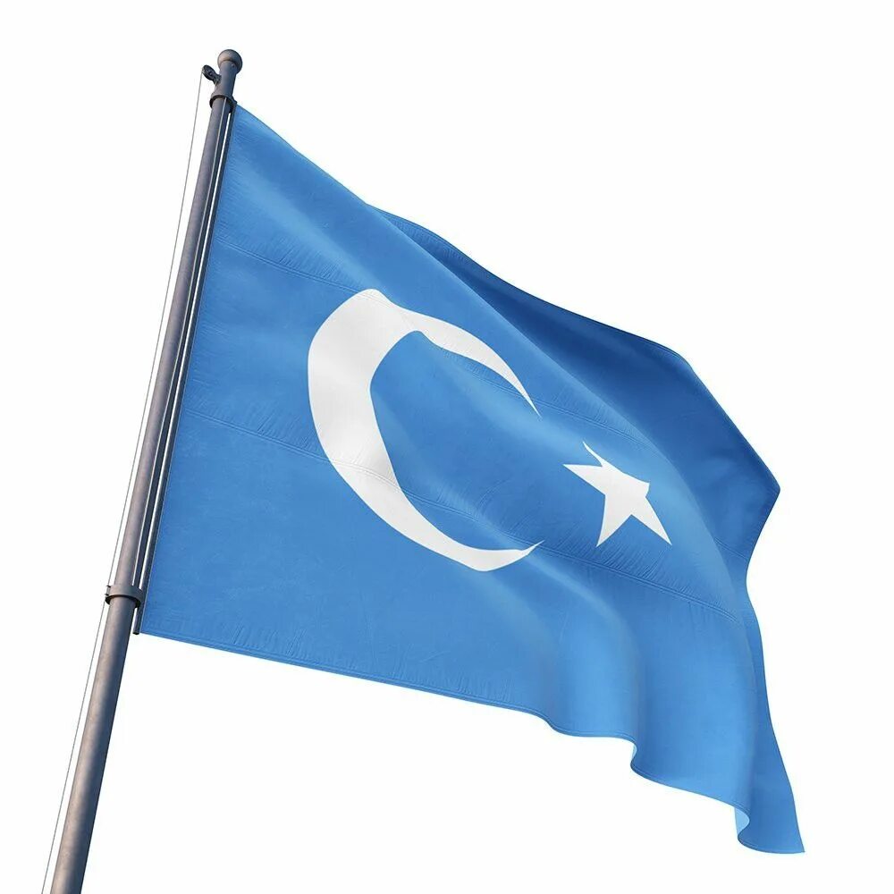E flag. Флаг восточного Туркестана. Уйгурстан флаг. Флаг East Turkistan. Флаг Уйгуристана.