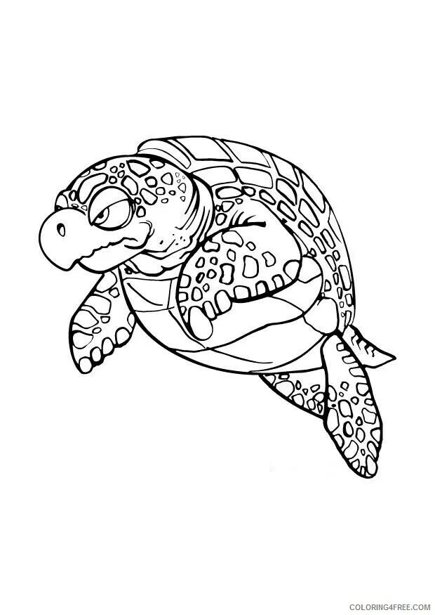 Красноухая черепаха раскраска. Черепашка раскраска для детей. Болотная черепаха раскраска. Черепаха раскраска для детей.