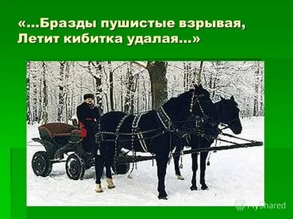 Облучок это