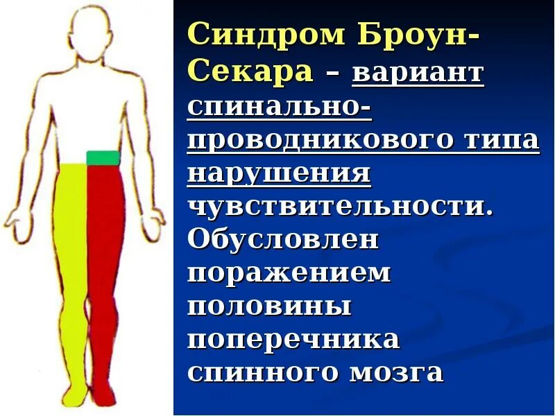 Глубокая чувствительность. Симптомы и синдромы поражения спинного мозга. Спинально проводниковый тип нарушения чувствительности. Эпиконус спинного мозга. Симптомы поражения конского хвоста спинного мозга.