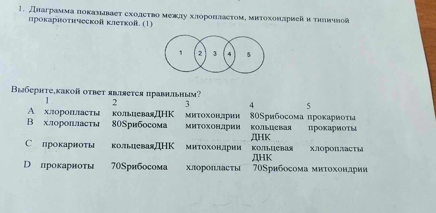 Признаки митохондрий и хлоропластов. Сравнение митохондрий и хлоропластов. Сходство митохондрий и хлоропластов. Сравнение митохондрий и хлоропластов таблица. Митохондрии и хлоропласты сходства и различия.