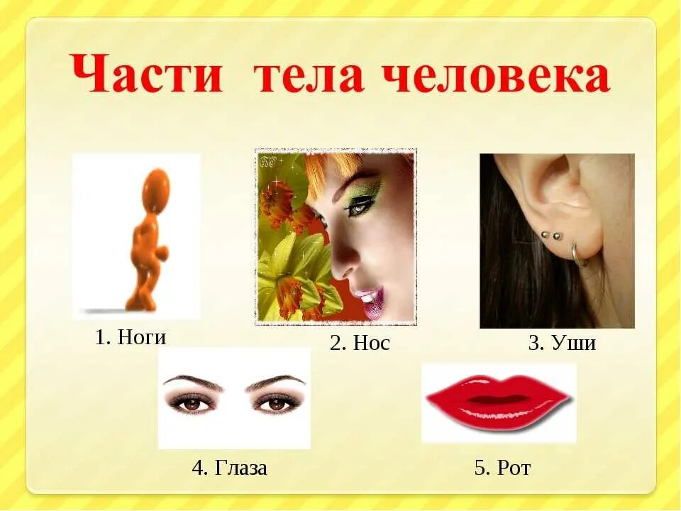 4 рта 4 уха. Части тела глаза. Части тела нос. Части тела человека глаза уши рот. Части тела нос для детей.