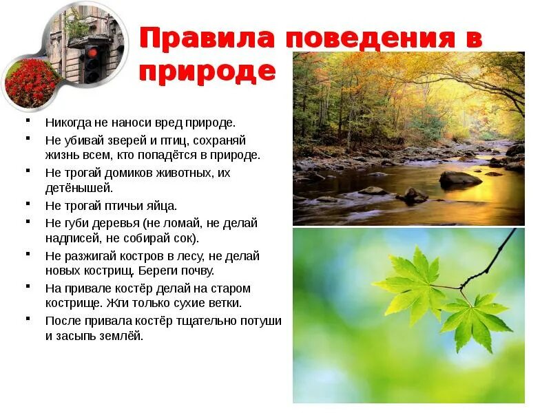 Предложение о защите природы. Правила поведения вмприроде. Правил поведения на природе. Правила поведения человека в окружающей среде. Нормы поведения в природе.