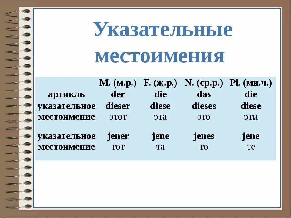 Указательные местоимения в немецком языке. Указателтные. Естоимения в немец. Укаатеотные местоимения в несецком я. Erfpfntkmzst vtcnjbvtzby d ztvtwrjv YPSRT. Указательные местоимения правило