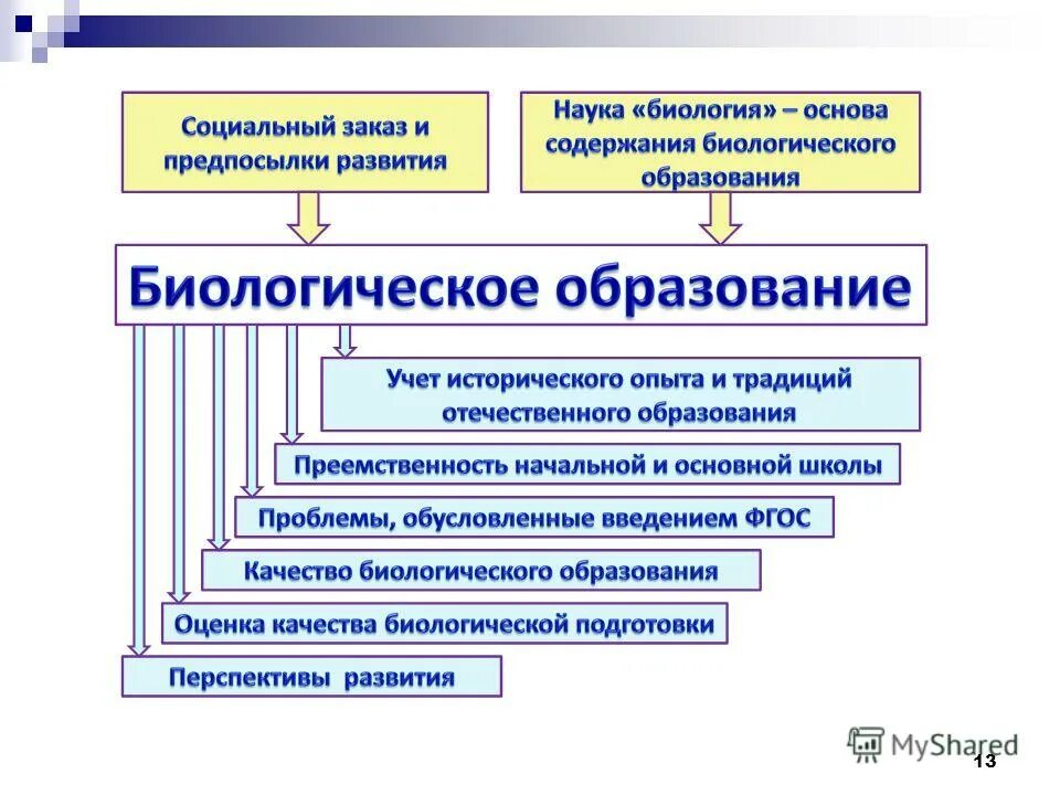 Какое значение имеет биологическое образование. Содержание школьного биологического образования. Биологическое образование. Дополнительное биологическое образование. Школьное биологическое образование.